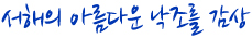 서해의 아름다운 낙조 감상